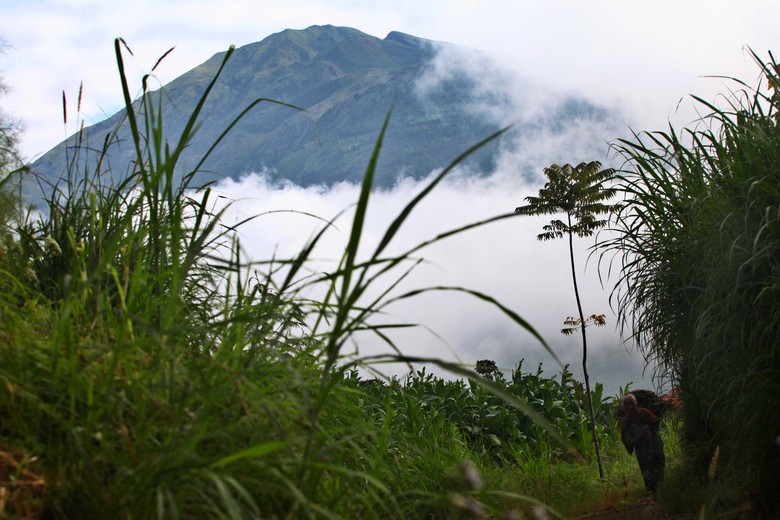 Kawasan Lereng Merapi Magelang Diguyur Hujan Es