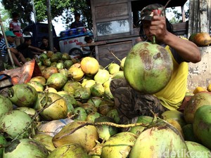 Mendag: Produk Kelapa Lagi Naik Daun, Tapi Terbengkalai di RI