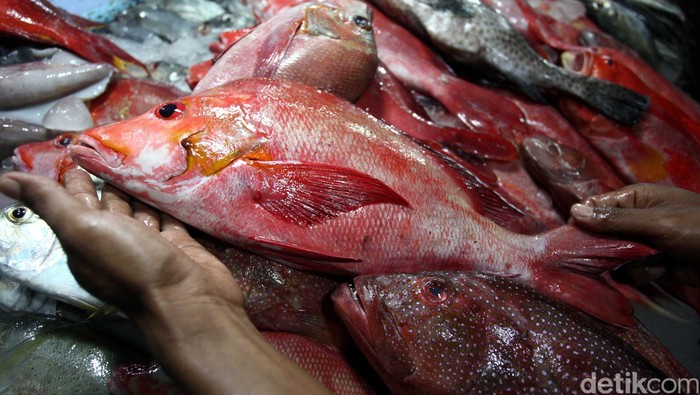 Restoran Pasar Tua, Bitung Sulawesi Utara kuliner berbagai menu Ikan khas Bitung. File/detikFoto.