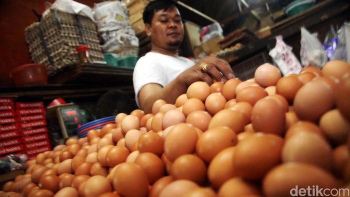 Telur merupakan salah satu sumber protein penting (Foto: Rachman Haryanto) Telur merupakan salah satu sumber protein penting (Foto: Rachman Haryanto)