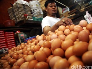 BI: Harga Telur dan Daging Ayam Naik di Jakarta Naik