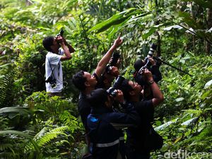 Menyelamatkan Hutan di Lereng Barat Gunung Slamet