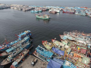 11 Kapal Dishub di Pulau Seribu Di-docking, Ahok: Sengaja Supaya Disewa