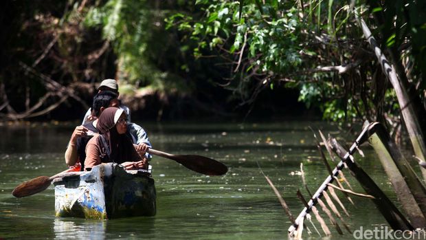 Wisatawan melakukan aktivitas berkano di Sungai Cigenter, Taman Nasional Ujung Kulon, Banten. Sungai Cigenter terletak di Taman Nasional Ujung Kolon dilokasi ini adalah salah satu habitat Badak Jawa. File/detikFoto