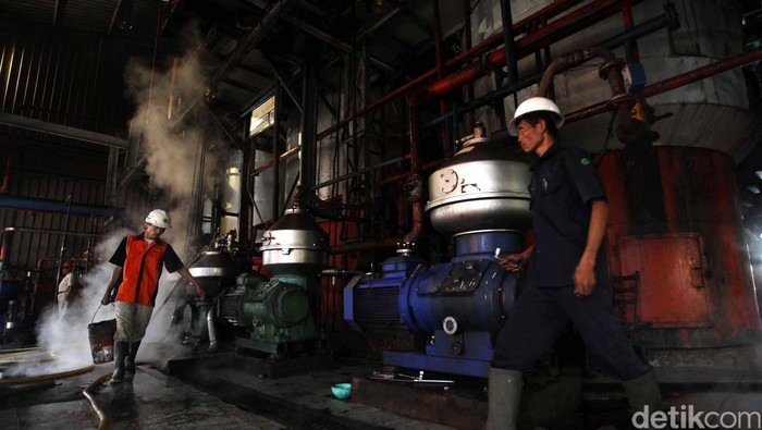 Pekerja melakukan bongkar muat kelapa sawit yang akan diolah menjadi minyak kelapa sawit Crude palem Oil (CPO) dan kernel di pabrik kelapa sawit Kertajaya, Malingping, Banten, Selasa (19/6). Dalam sehari pabrik tersebut mampu menghasilkan sekitar 160 ton minyak mentah kelapa sawit. File/detikFoto.