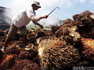 Diproduksi Indonesia, Ditentukan Malaysia