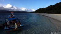 Taman Nasional Ujung Kulon di Banten telah ditetapkan menjadi situs warisan dunia UNESCO pada 1991 untuk dijadikan area konservasi badak Jawa, owa Jawa, surili, serta anjing hutan.  (Agung Pambudhy/detikcom)