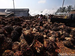 Bagaimana Cara Industri Sawit RI Tingkatkan Daya Saing?