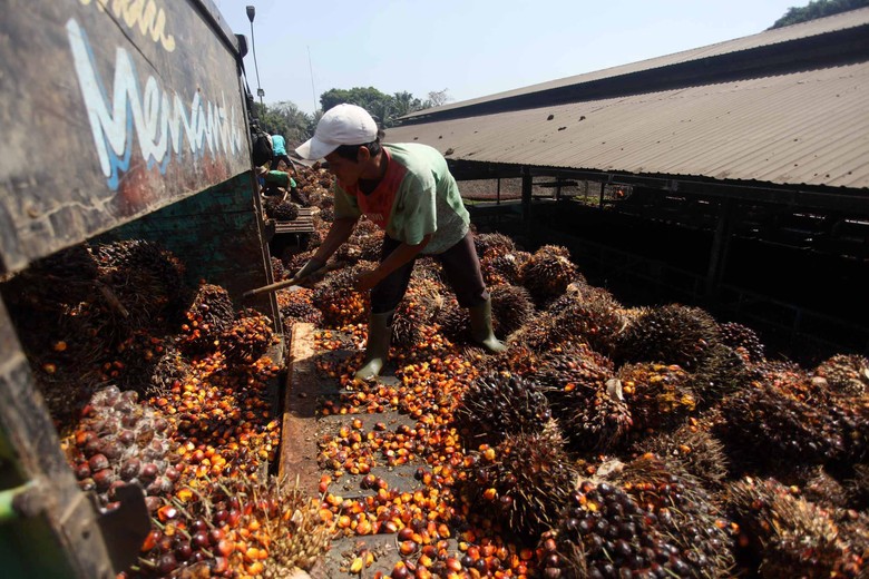 Pabrik Minyak Kelapa Sawit di Banten. Foto: Jhoni Hutapea Pabrik Minyak Kelapa Sawit di Banten. Foto: Jhoni Hutapea