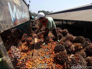Brasil Punya BBM Ethanol, Indonesia Ingin Terapkan Biodiesel 100