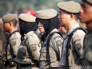 Hari Pamong Praja 8 September: Sejarah, Tugas dan Wewenang Satpol PP