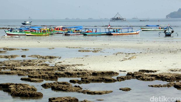 Pesona Pantai Pasir Putih Lampung Pantai Pasir Putih, yang berlokasi di Desa Tarahan, Lampung Selatan ini, salah satunya memilki pesona keindahan dan menjadi favorit para wisatawan. Pantai Pasir Putih memiliki air laut yang berwarna hijau kebiruan yang secara harmonis menyatu dengan halus dan indahnya hamparan pasir putih di sepanjang tepian pantainya.