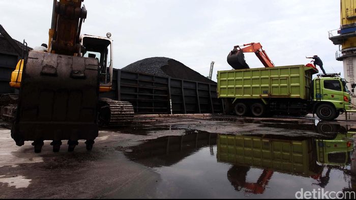Bongkar Muat Batu Bara Sejumlah pekerja melakukan bongkar muat batu bara menggunakan alat berat di pelabuhan krakatau bandar samudera, Cigading, Cilegon (8/3/2013). Direktur Jendral Mineral dan Batu Bara Kementerian Energi Sumber Daya Manusia (ESDM), Thamrin Shite mengatakan untuk mengendalikan produksi batu bara, pemerintah menetapkan kuota produksi secara nasional. File/detikFoto.