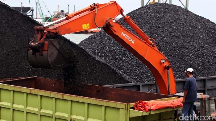 Sejumlah pekerja melakukan bongkar muat batu bara menggunakan alat berat di pelabuhan krakatau bandar samudera, Cigading, Cilegon (8/3/2013). Direktur Jendral Mineral dan Batu Bara Kementerian Energi Sumber Daya Manusia (ESDM), Thamrin Shite mengatakan untuk mengendalikan produksi batu bara, pemerintah menetapkan kuota produksi secara nasional. File/detikFoto.