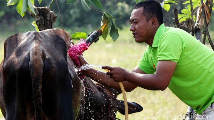 Masjid Raya Jabar Bagikan 4.000 Paket Daging Kurban, Termasuk dari Jokowi dan Aher