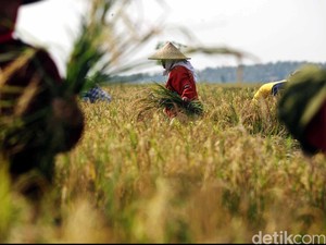 FotoStop: Wajah Pekerja