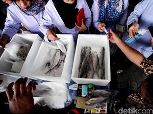 Pagi Ini Mau Belanja Seafood di Pasar? Catat 5 Hal Penting Ini