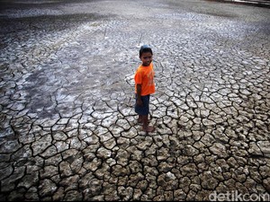 Ilmuwan Prediksi Kekeringan Ekstrem Global Akan Terjadi Tahun 2100