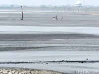 Lapindo Masih Utang Ratusan Miliar Rupiah, Kapan Dibayar?