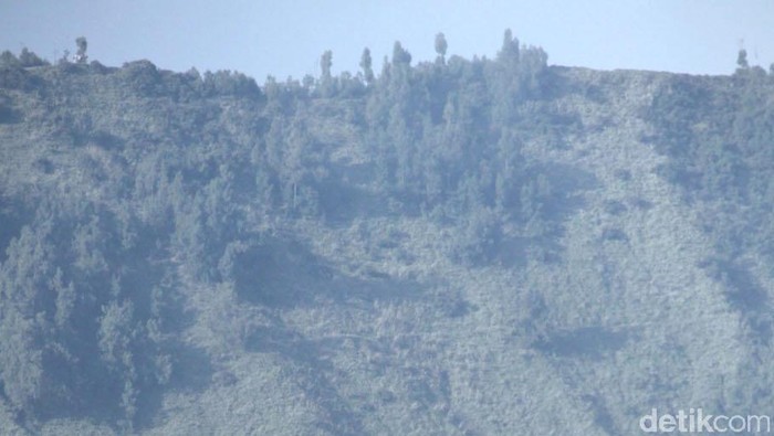 Bromo Batuk, Wisatawan Kabur