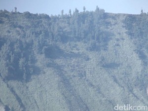 Bromo Batuk, Wisatawan Kabur