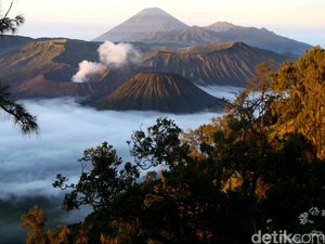 Heboh Foto-foto di Bromo Bayar Rp 1 Juta? Ini Penjelasan Pengelola