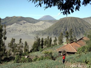 Pesona Bromo yang Tidak Ada Matinya