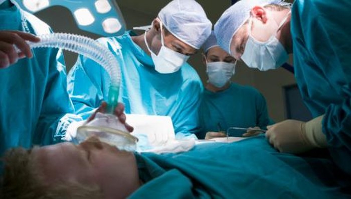 Usai Cangkok Organ, 3 Pasien Tertular Parasit Otak dari Donornya