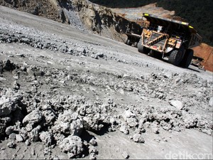 2 Pengusaha RI Ini Berhasil Caplok Raksasa Tambang Asing
