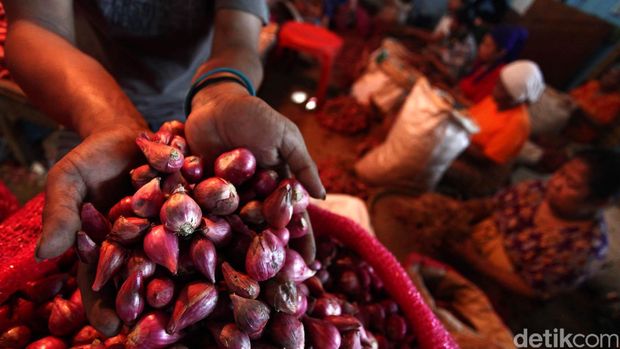 Harga Bawang Merah Naik