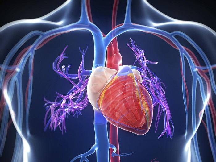 Pada Remaja, Denyut Jantung Bisa Tunjukkan Risiko Perilaku Agresif