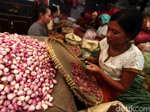 Harga Bawang Merah Turun, Petani Rugi Rp 5.000/Kg