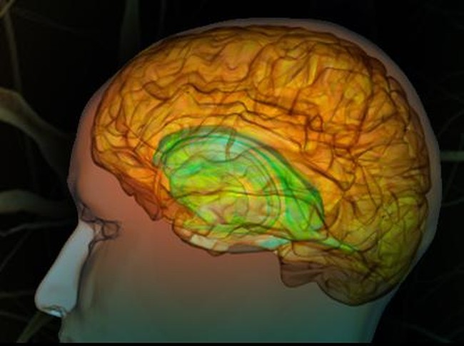 Ini Dia 8 Kepintaran Anak Versi Teori Multiple Intelligence (2)