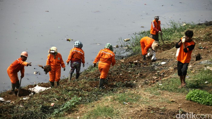 Kasus Sunat Gaji PHL, Dinas Kebersihan Telusuri Dugaan Keterlibatan PNS