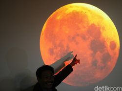 Fakta Unik Vatikan, Negara Terkecil dan Tak Punya Penjara