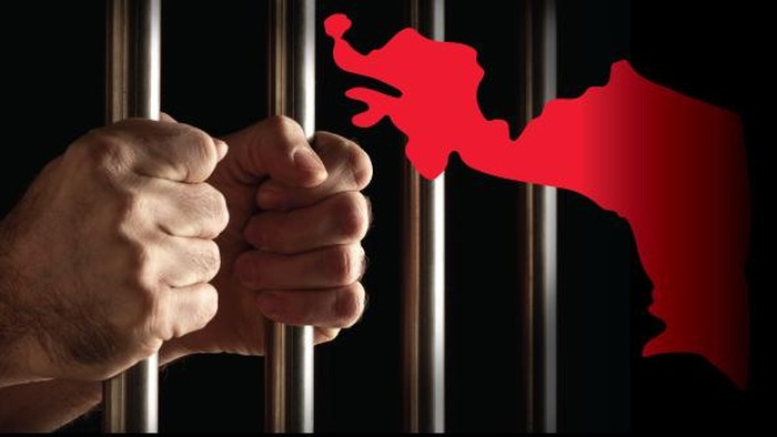 Dua Wartawan Inggris Ditahan Saat Meliput Bentrokan di Turki