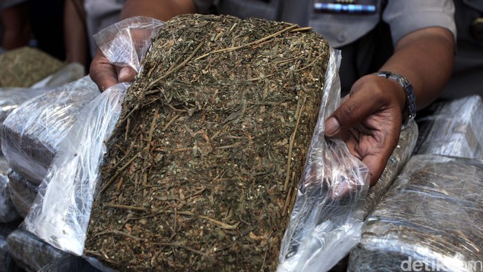 BNN Amankan Satu Truk Bermuatan Ganja di Sukabumi