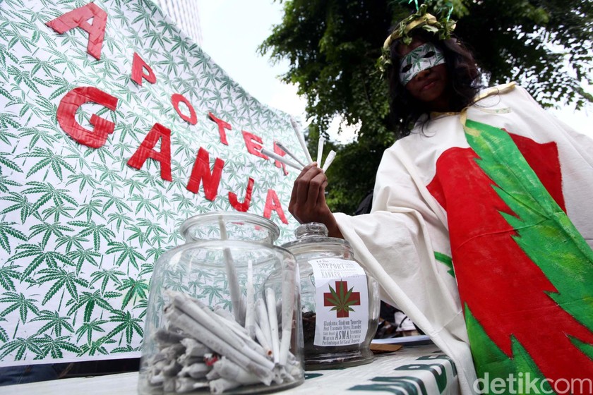 Kontroversi Ganja Medis