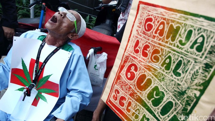 Salah satu aksi menuntut legalisasi ganja (Foto: Hasan Alhabshy) Salah satu aksi menuntut legalisasi ganja (Foto: Hasan Alhabshy)
