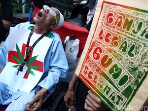 Ternyata Penjual Brownies Ganja adalah Aktivis Legalisasi Ganja