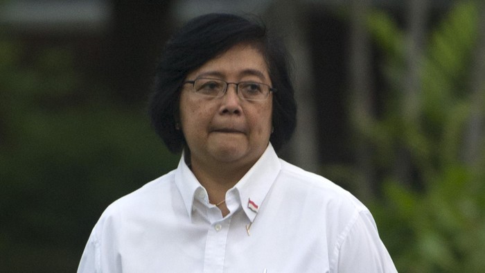 Menteri Siti Laporkan Kebakaran Hutan ke Jokowi