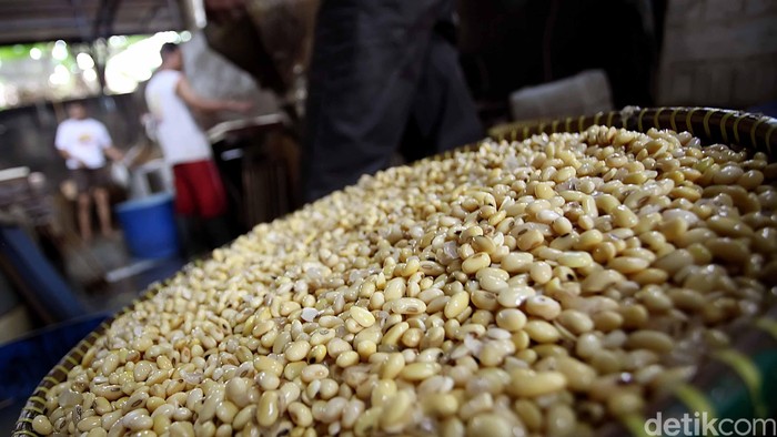 Para perajin tahu dan tempe yang tergabung dalam Gabungan Koperasi Tahu dan Tempe Indonesia (Gakoptindo) mendapatkan jatah impor kedelai sebesar 125.000 ton di 2013. Jumlah ini jauh lebih besar dari perhitungan awal yang hanya diberikan 20.000 ton. (Foto: Rachman Haryanto/detikFoto)