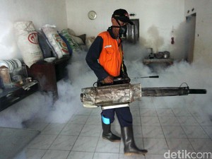 Wabah Demam Berdarah di India, Rumah Sakit Kehabisan Tempat Tidur