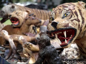 Penyidik Bea Cukai dan LHK Kolaborasi Gagalkan Eksportasi Satwa Langka