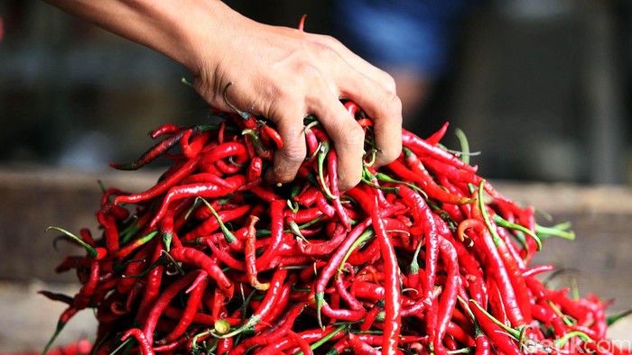 Harga semua jenis cabai di pasar tradisional DKI Jakarta mengalami kenaikan. Ini terjadi karena kemarau panjang di beberapa sentra produksi cabai. arga cabai rawit merah yang biasanya hanya Rp 25.000/kg, kini sudah mencapai Rp 45.000/kg. Kenaikan juga terjadi pada cabai merah besar dari Rp 25.000/kg menjadi Rp 50.000/kg.