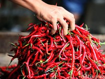Harga Sembako Jogja Hari Ini 26 Juni 2024: Cabai Merah Besar Anjlok!