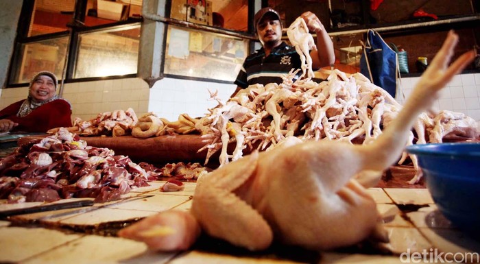 Harga Daging Ayam di Pasar Rp 40.000/Kg, Berapa Untung Peternak?