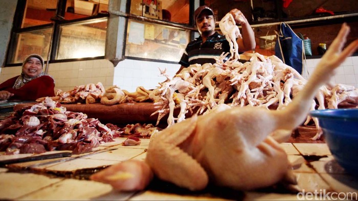 Harga Ayam Naik, Peternak: Bagaimana Mau Bersaing Kalau Kosumsinya Mi Instan