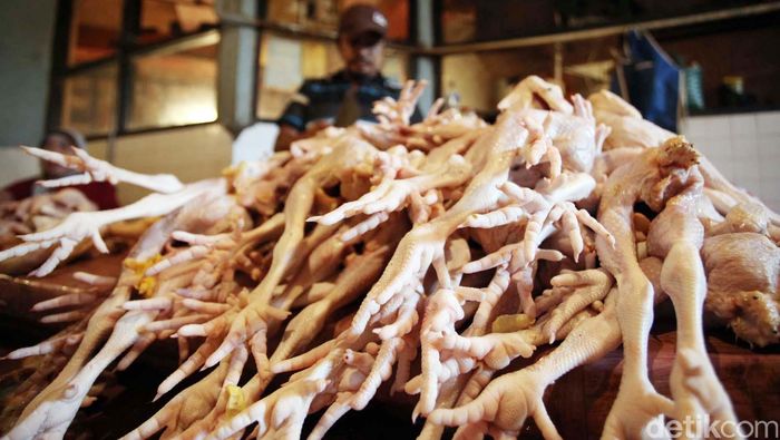 Ilustrasi impor daging ayam/Foto: Rachman Haryanto Ilustrasi impor daging ayam/Foto: Rachman Haryanto