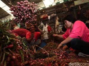 Banjir di Brebes, Ini Jurus Kementan Agar Harga Bawang Tak Naik